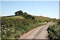 Heddon Law from the west