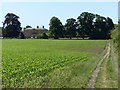 SK6943 : Field footpath at East Bridgford by Alan Murray-Rust