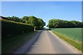 Road near High Gardham Farm