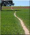 Footpath to Melbourne