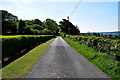 Neatly trimmed hedge along Foremass Road