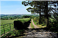 Rough lane, Dunmoyle