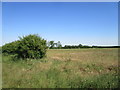 View towards Heydour Lodge Farm