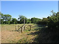 Restricted byway to Haceby