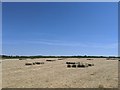 Hay bales awaiting pickup on inland path from St Ives towards Zennor on farm field