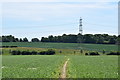 Footpath west of Pattiswick