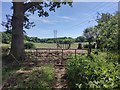 Gate to Field near Ash Green