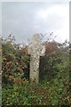 Old Wayside Cross