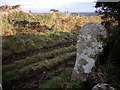 Old Wayside Cross