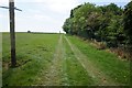 Path leading to Scurf Dike