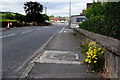 Weeds along Townview Avenue, Omagh