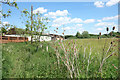 SP5910 : Oxfordshire Way at Danesbrook Farm by Des Blenkinsopp
