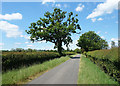 SP5910 : Road to Danesbrook Farm by Des Blenkinsopp