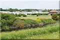 Locked-down Dovercourt Caravan Park