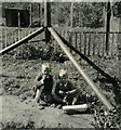 Post-war Prefab back garden - Ringwood c.1950