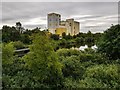 Coronet Flour Mill