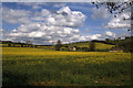 Oil seed rape and typical Cotswold barn at Cassey Compton