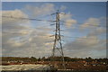 Pylon, Greatham Road Estate