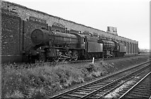 SJ3697 : WD class 2-8-0 locomotives at Aintree – 1964 by Alan Murray-Rust