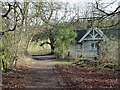 North Downs Way by South Lodge, Marden Park