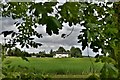 St. James South Elmham: Looking towards  Rookery Farm Cottages