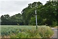 Metfield, Sandpit Hill: Cereal crop