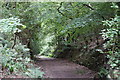 Railway cutting at Ruspidge