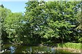 Pond in Hessay