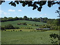 View from Stalisfield Road near Painters Forstal