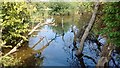 Pond near Twenty Acre Wood, Bethersden