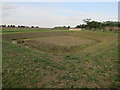 Drainage area for new housing, Stretham