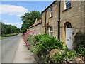 Farm House in Coat, Somerset