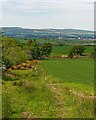 NH7063 : Path from Upperwood to Poyntzfield Mains by valenta