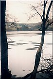 SJ0119 : Lake Vyrnwy by Jonathan Thacker