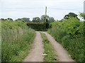 Access track to sheep pens