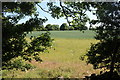 Field by the A44 past Over Kiddington