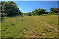 Portishead : Grassy Field