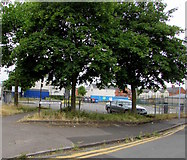 ST3288 : Trees on a Maindee corner, Newport by Jaggery