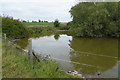 The pond by the farm house