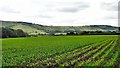 View WSW towards the South Downs