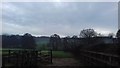 Field adjacent to Nethermoor Farm