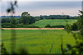 SK3617 : Agricultural fields near Featherbed Lane, Ashby-de-la-Zouch by Oliver Mills