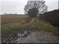 Field to the North of Healey Croft Lane