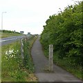 SK7042 : Bridleway alongside the A46 by Alan Murray-Rust