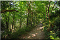 Portishead : Zig Zag Footpath