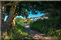 Portisbury : Footpath