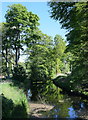 Canal reflections