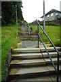 Steps to Campsie Drive