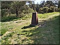 TQ4631 : Gills Lap Trigpoint by John P Reeves