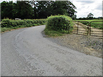 S4845 : Road and Gate by kevin higgins